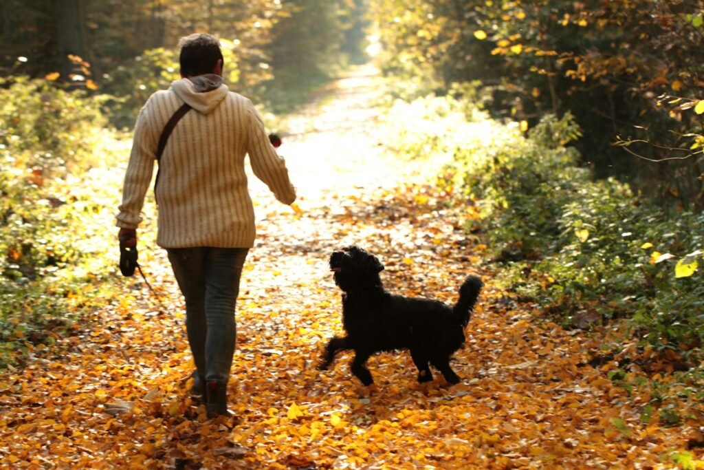 Green Calm Vibes 086ccdhhzty-1024x683 Gentle Lifestyle Changes: Small Daily Steps for Big Wellness Gains  