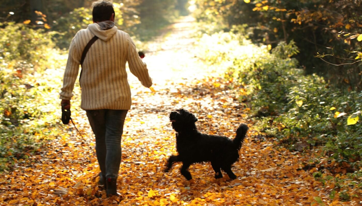 Green Calm Vibes 086ccdhhzty-1400x800 Gentle Lifestyle Changes: Small Daily Steps for Big Wellness Gains