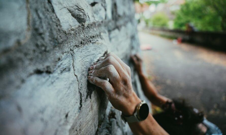 Green Calm Vibes hsq3dfk3auu-890x530 Building Emotional Resilience: Small Daily Habits to Prevent Anxiety Relapse  