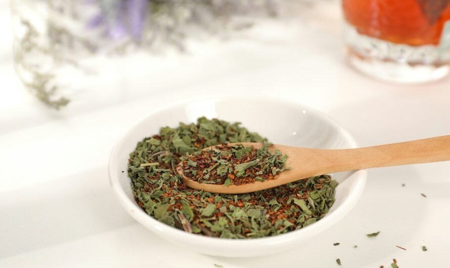 Green Calm Vibes run98vc24li-890x530 Healing Herbs from Your Kitchen: Turmeric, Ginger & More for Gut-Mental Wellness  