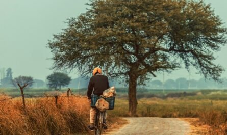 Green Calm Vibes xogqfz3ytie-445x265 Eco-Living Travel: Smart Sustainable Hacks for Conscious Trips  